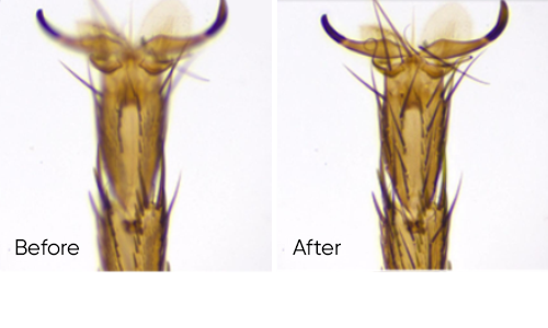 實時景深融合功能