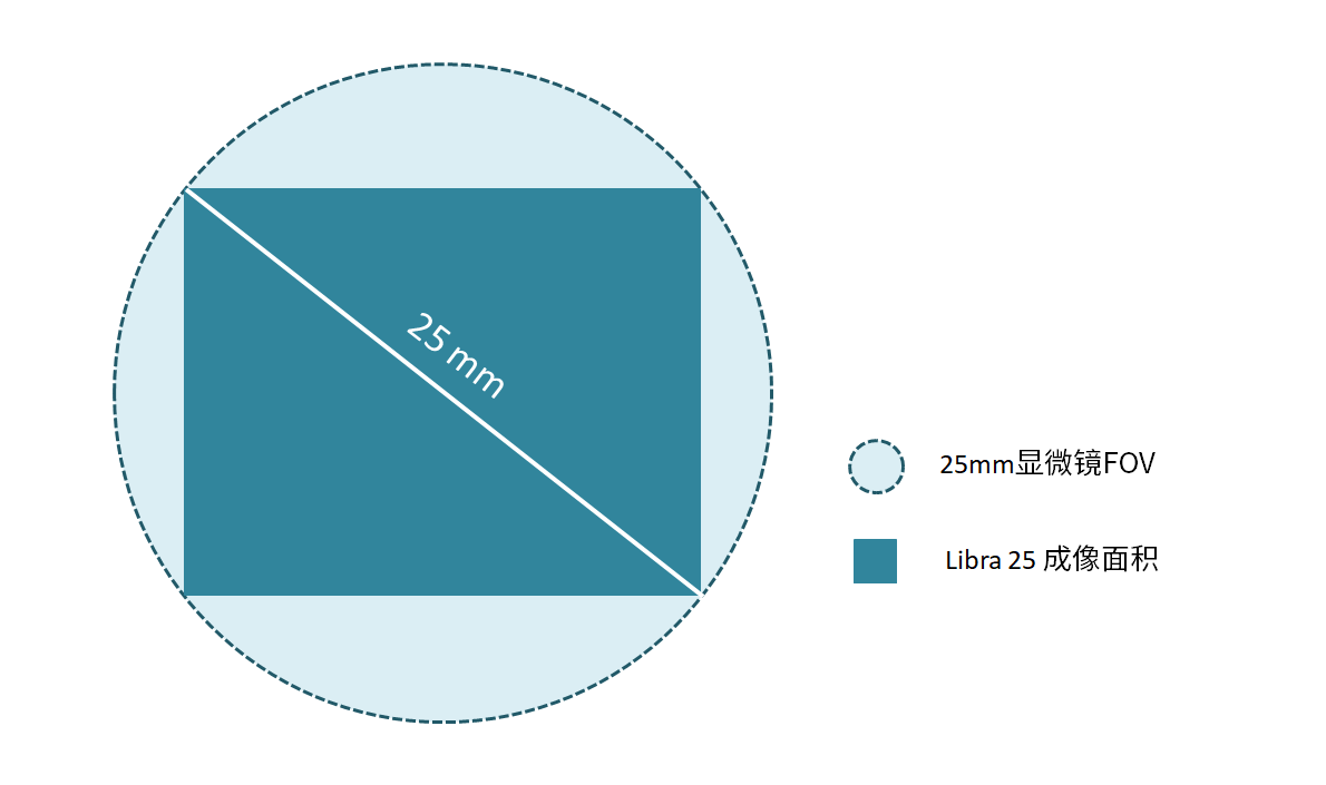 大靶面/高分辨率<br>適配現(xiàn)代光學顯微系統(tǒng)