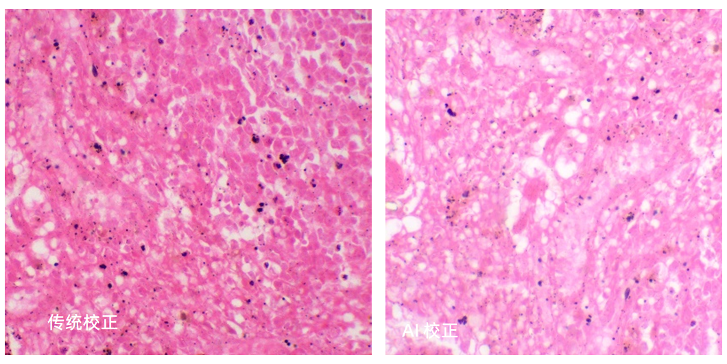 真實色彩還原，所見即所得